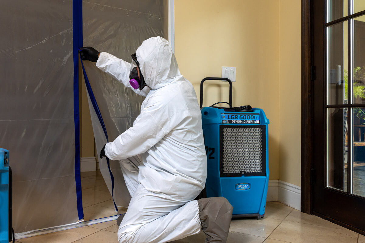 Mold Removal in Summit NJ