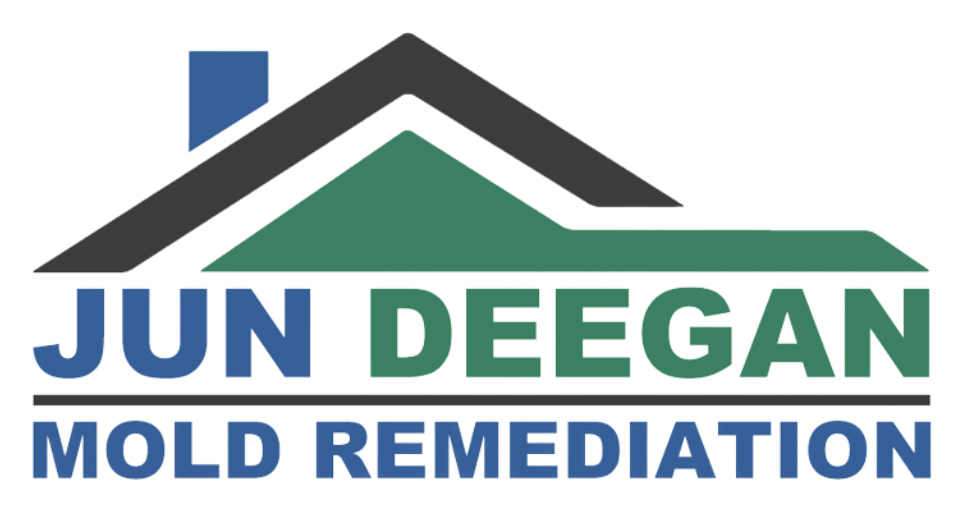 Central NJ Mold Remediation |Jun Deegan Mold Remedai