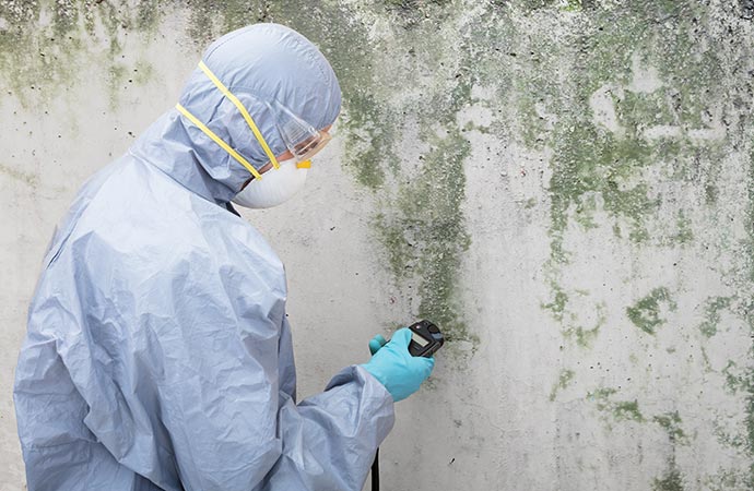 Mold Removal in Rahway