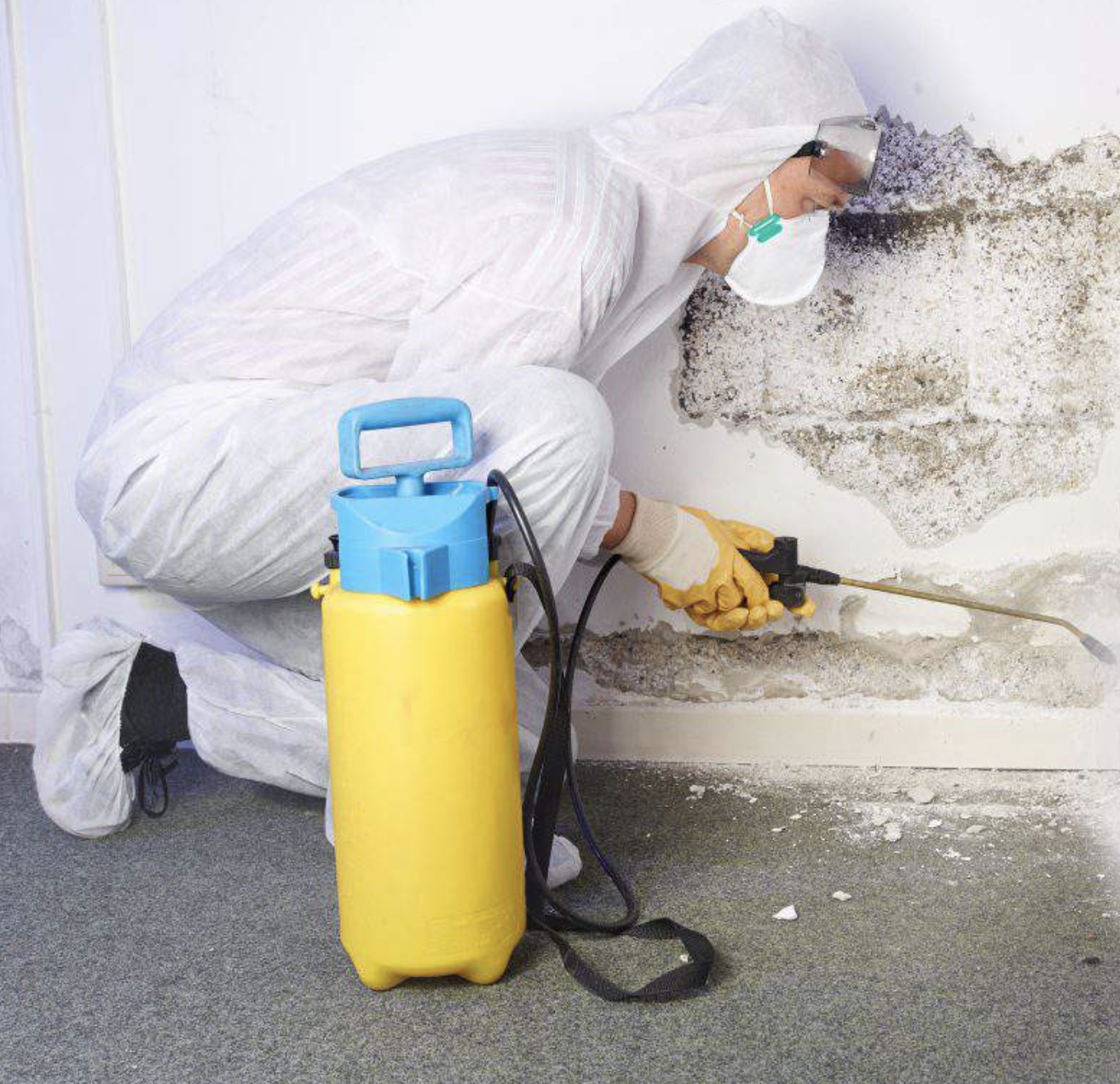 Mold Removal in Winfield NJ