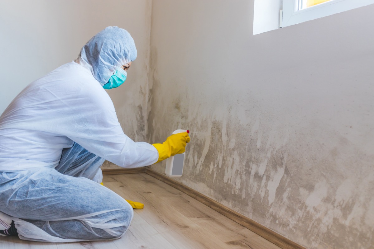 Berkeley Heights Mold Remediation Services