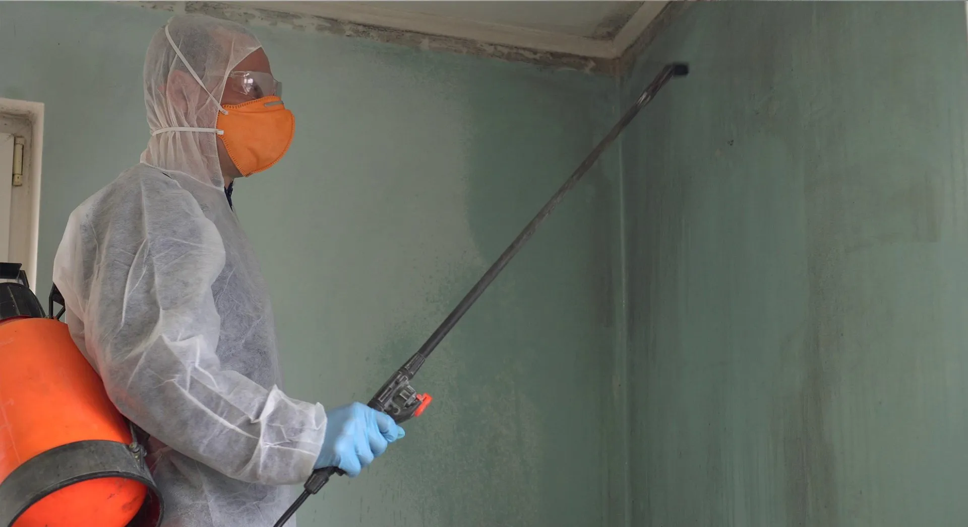 Mold Remediation in Somerset County