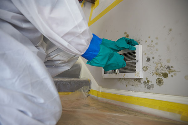 Mold Removal in Piscataway