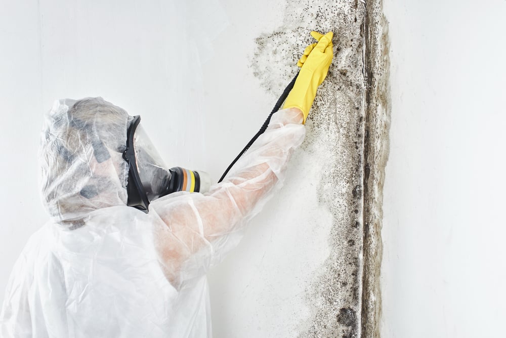 Piscataway Mold Removal