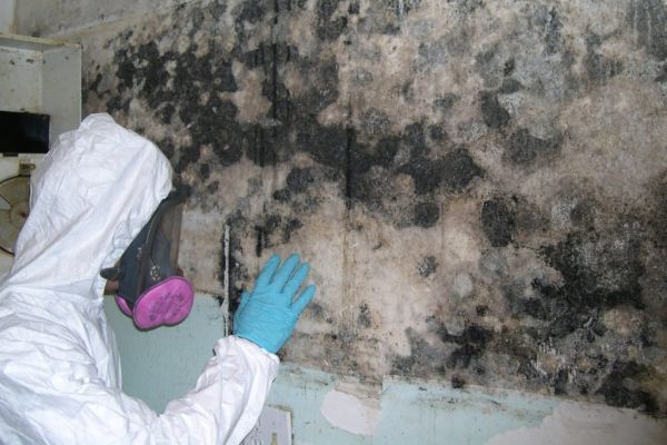 Manville Mold Remediation Services
