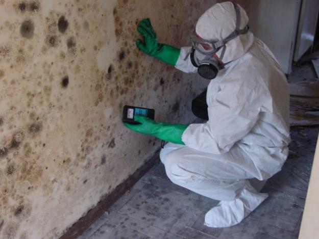 Commercial Mold Remediation in Union County NJ