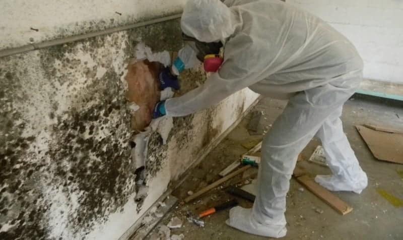 Union County Commercial Mold Remediation