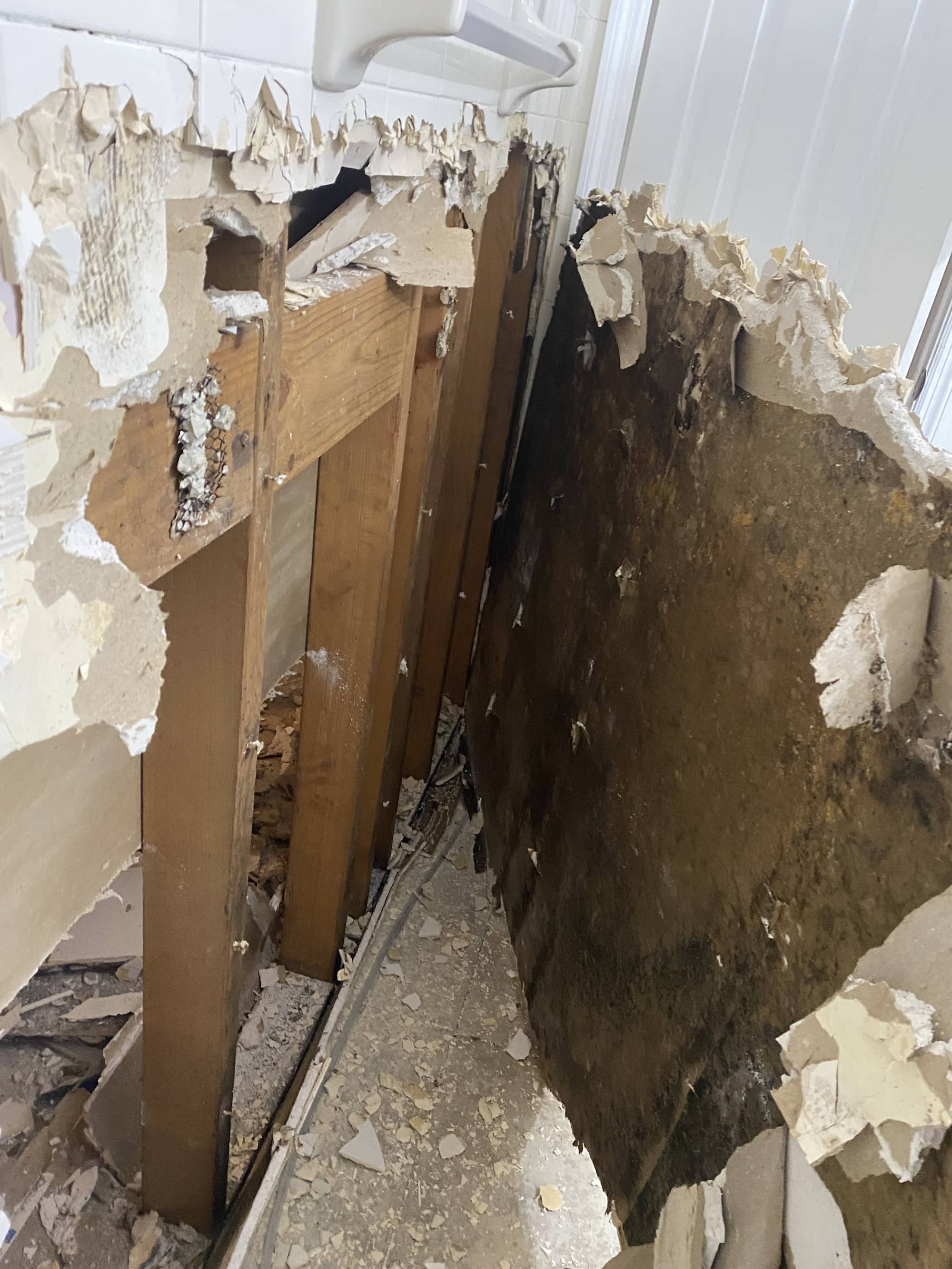 Commercial Mold Remediation in Hillside NJ