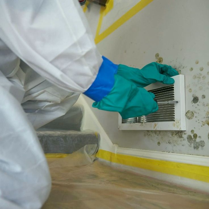 Elizabeth Commercial Mold Remediation