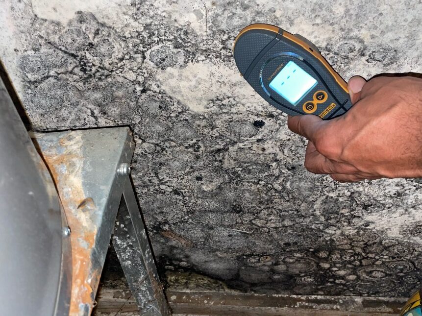 NJ Commercial Mold Remediation