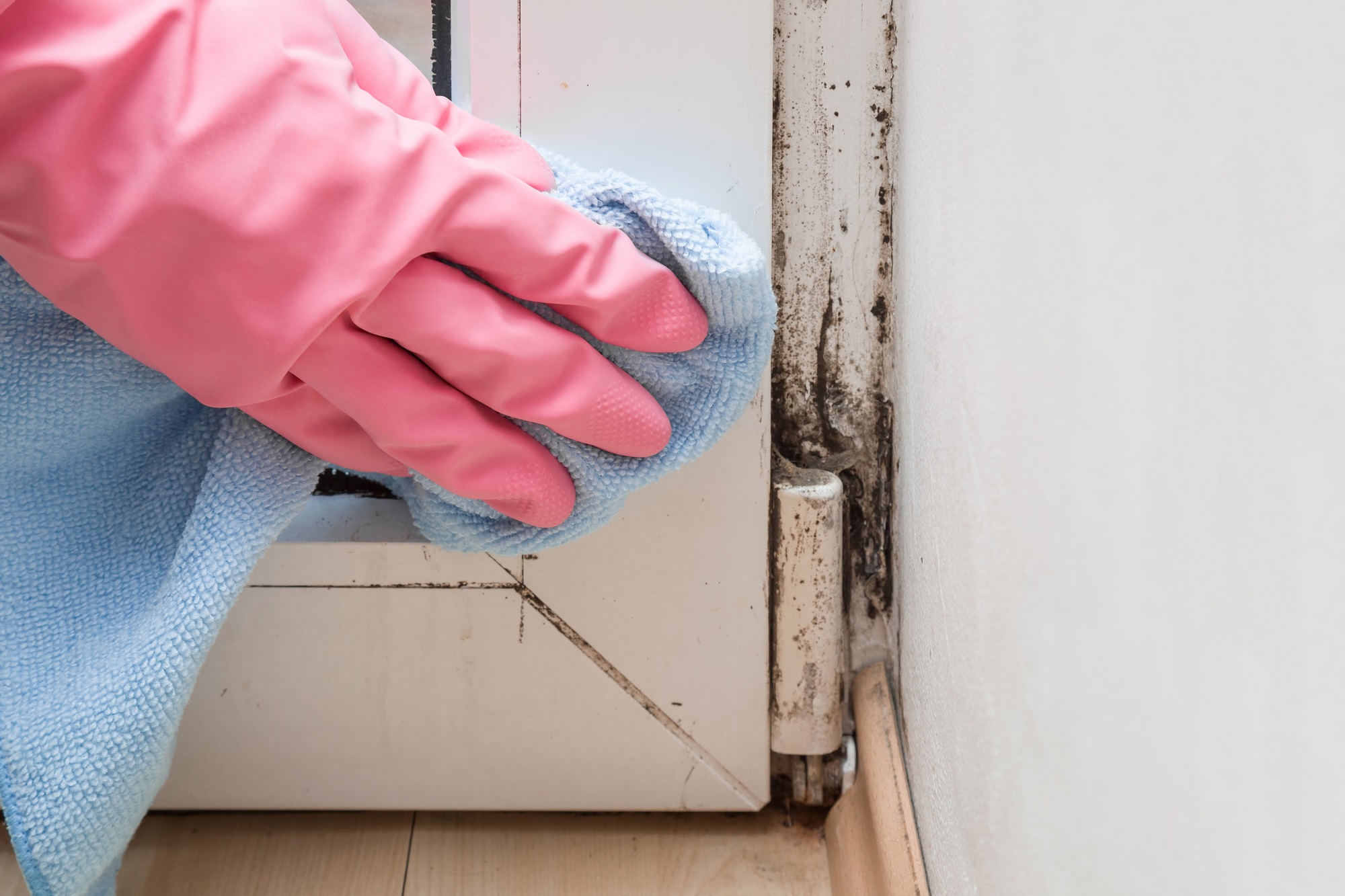 Plainfield Mold Remediation