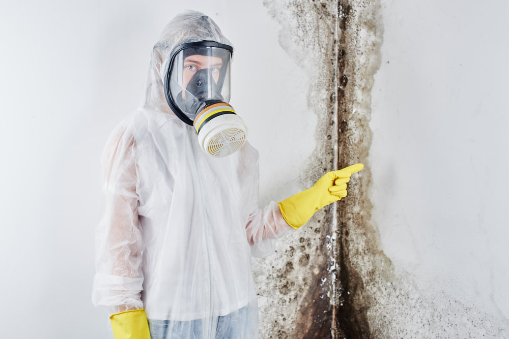 Union Mold Remediation