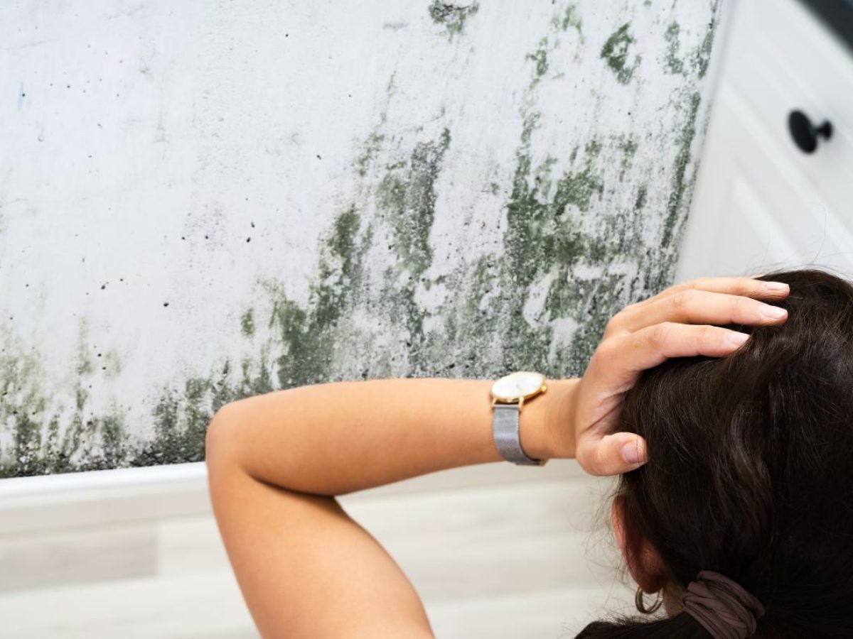 Signs of Mold to Look Out For and When to Call a Professional Mold Service