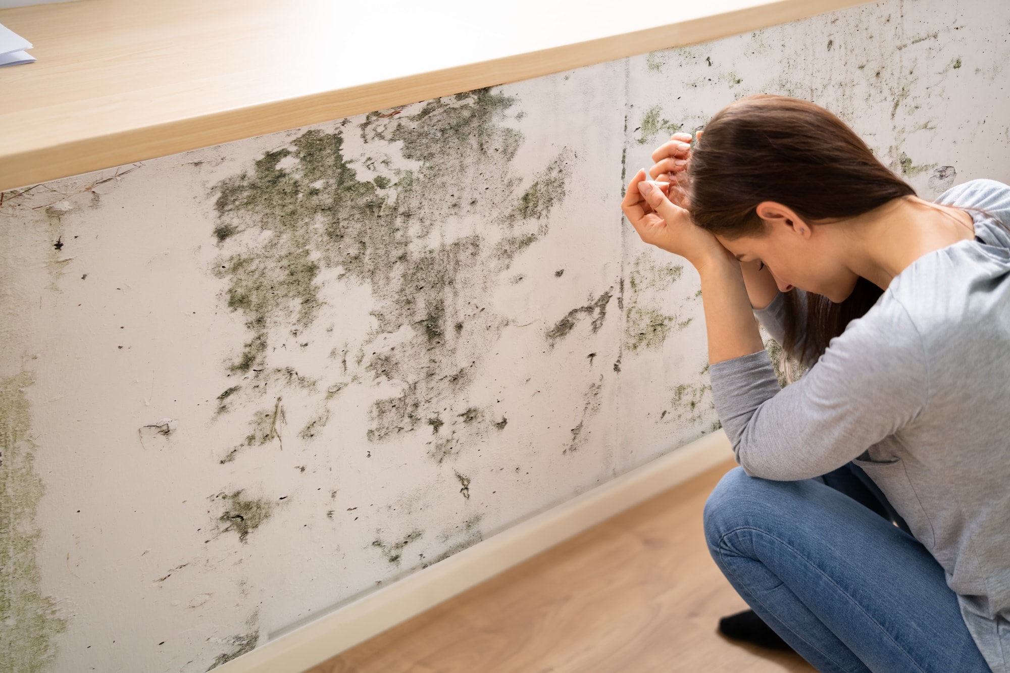 Top 5 Signs You Need Mold Remediation in NJ