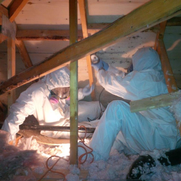 Clinton Mold Remediation Company