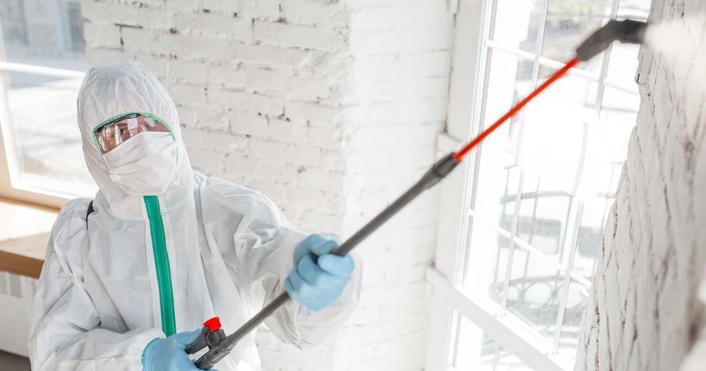 Commercial Mold Removal in Plainfield