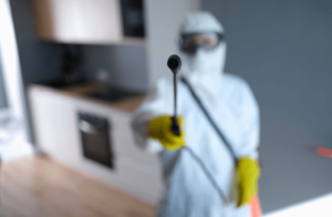 Mold Removal in Flemington