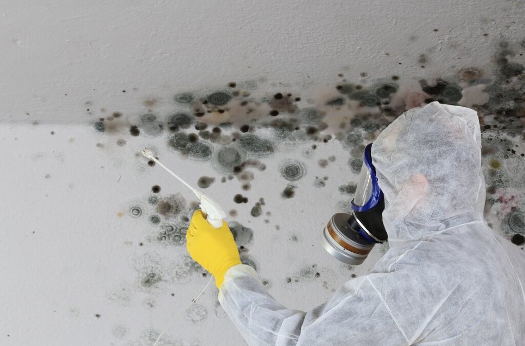 Glen Gardner Mold Removal