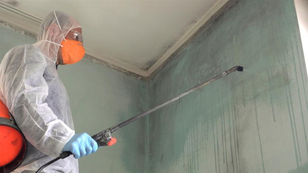 Mold Remediation in Califon: Why It Matters and How to Choose the Right Service