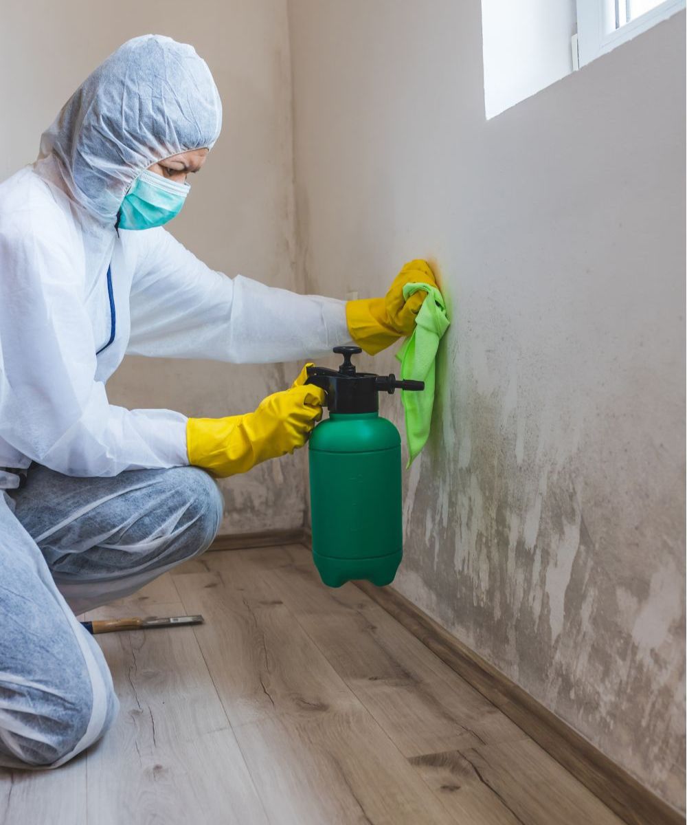 Mold-Removal-in-Kingwood-NJ