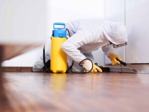 Milford Mold Remediation