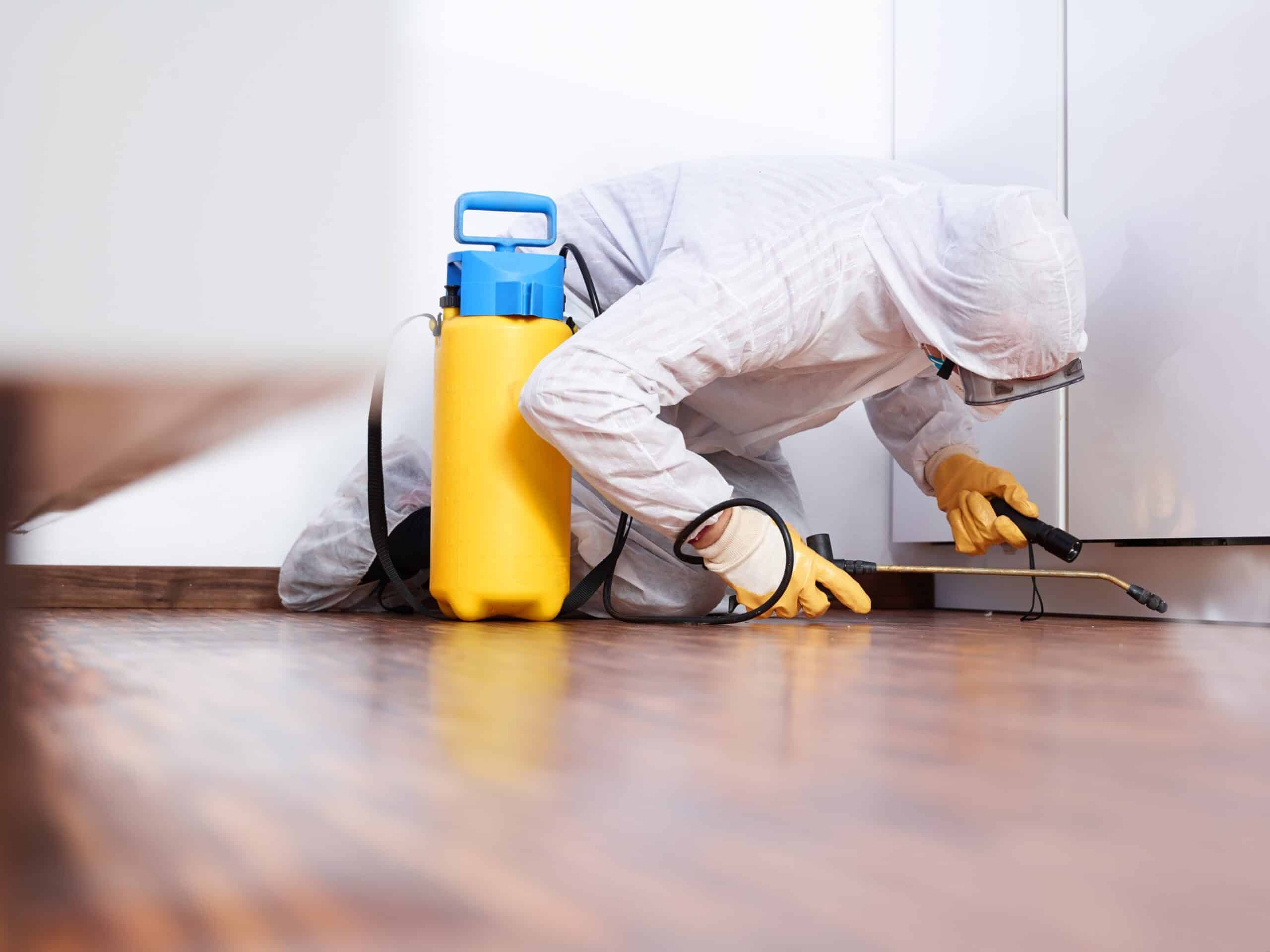 Tewksbury Mold Remediation