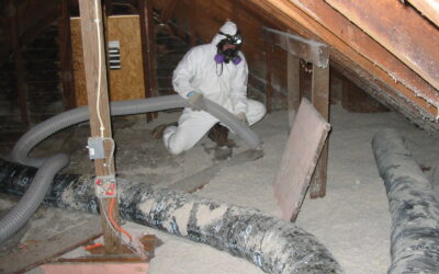 Attic Mold: What Causes It and How to Get Rid of It for Good