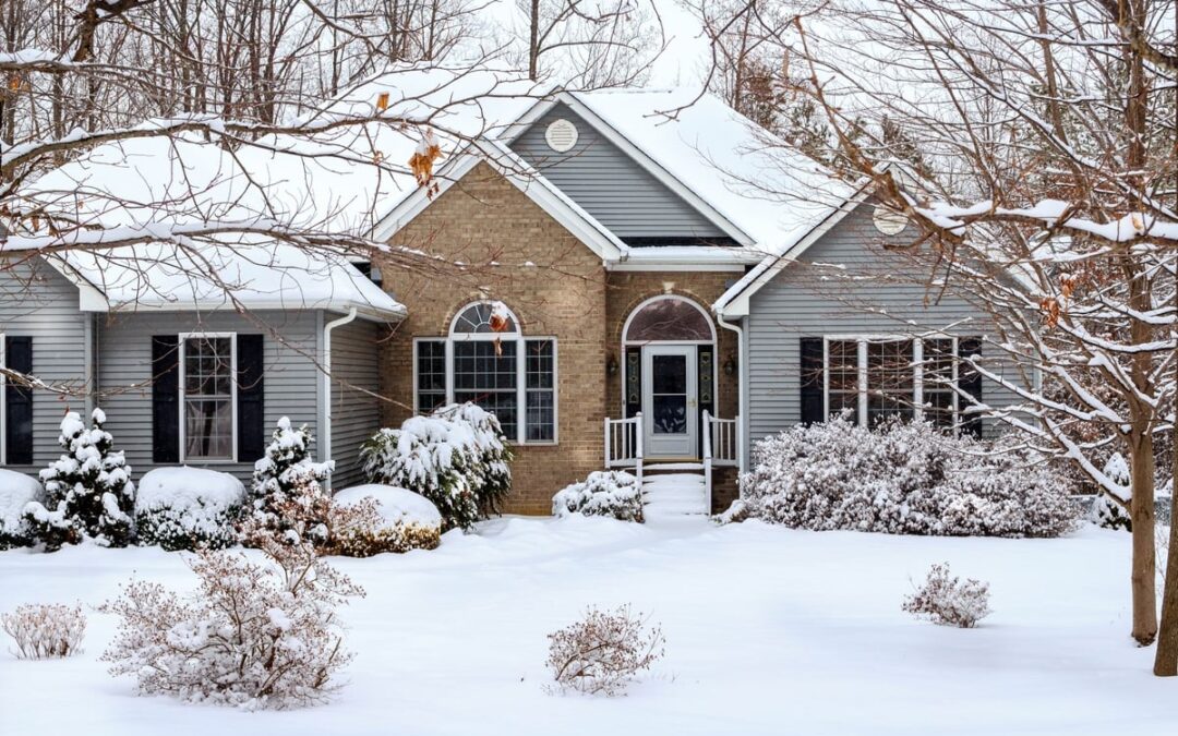 Winter Mold Prevention: Tips for Keeping Your Home Dry