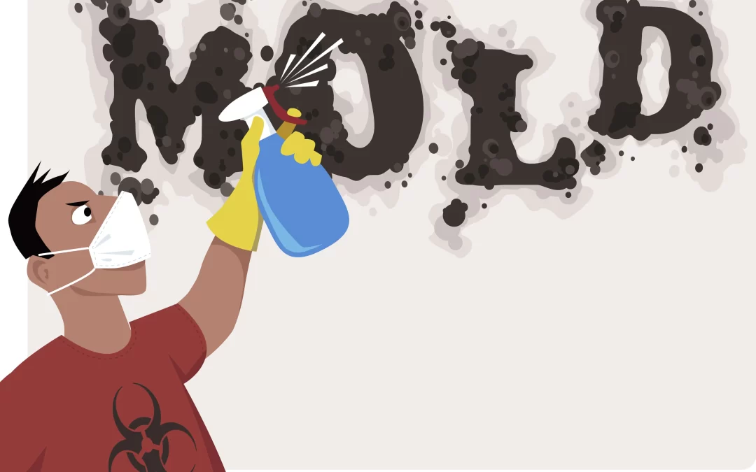 Warning Signs of Mold