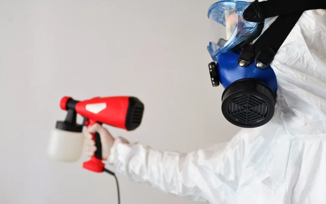 Mold Remediation Services