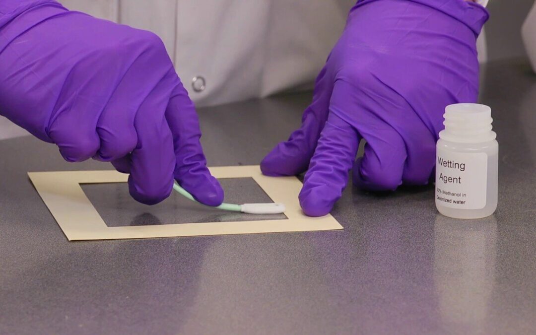 DIY Mold Tests: Are They Accurate and Worth It?